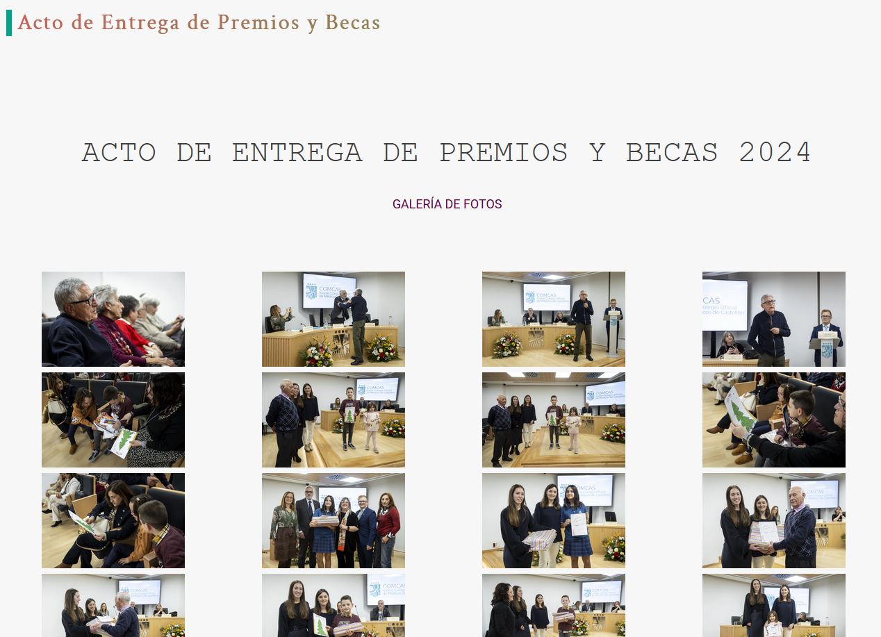 Acto de entrega de Premios y Becas 2024 - Galería de Imágenes 